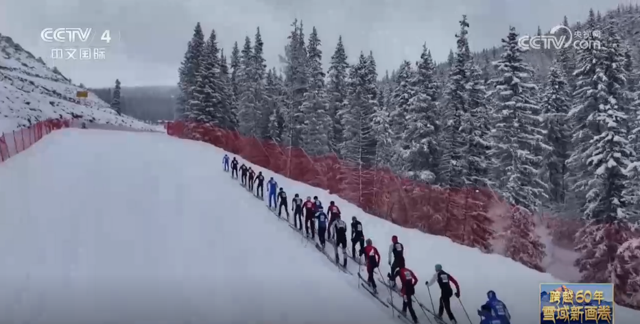 主教练介绍 主教练介绍